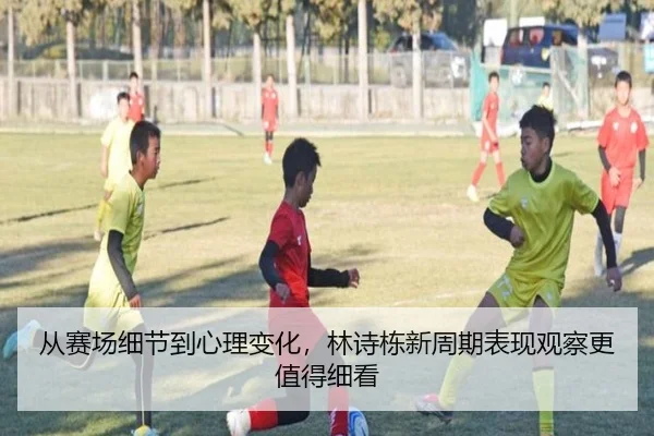 从赛场细节到心理变化，林诗栋新周期表现观察更值得细看